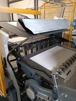 selestampa selestampa diecutting platina fustellatrice handfed platen rabolini d feeder 04